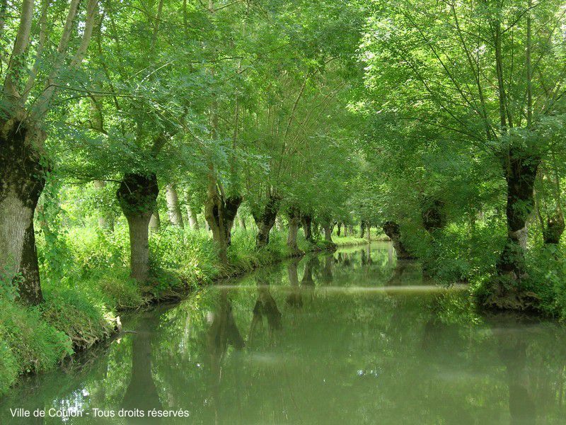 Dans le marais poitevin les paysages les canaux