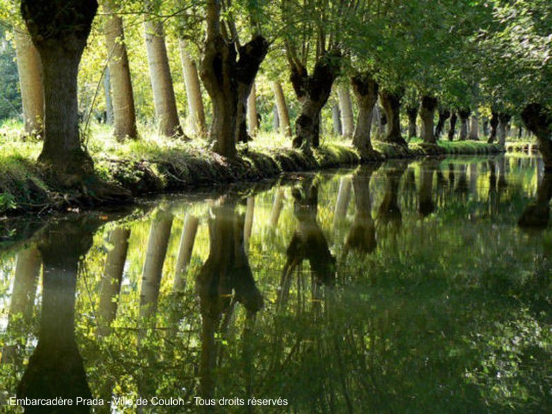 La Venise Verte dans le Marais Poitevin