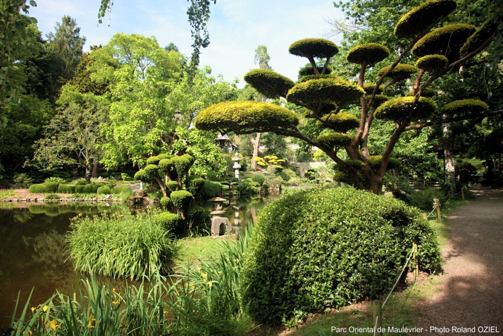 Parc oriental de Maulévrier en Vendée