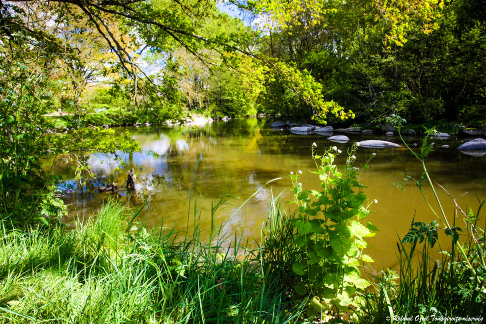 Paysage de la Vallée de Poupet, la rivière